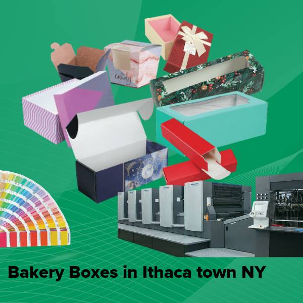 Bakery boxes in ithaca town ny