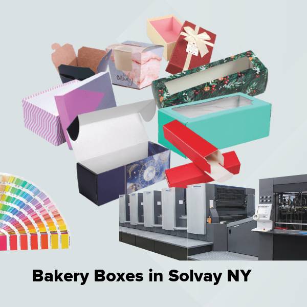 Bakery boxes in solvay ny