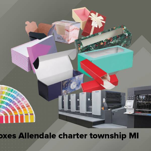 Boxes allendale charter township mi