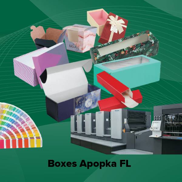 Boxes apopka fl
