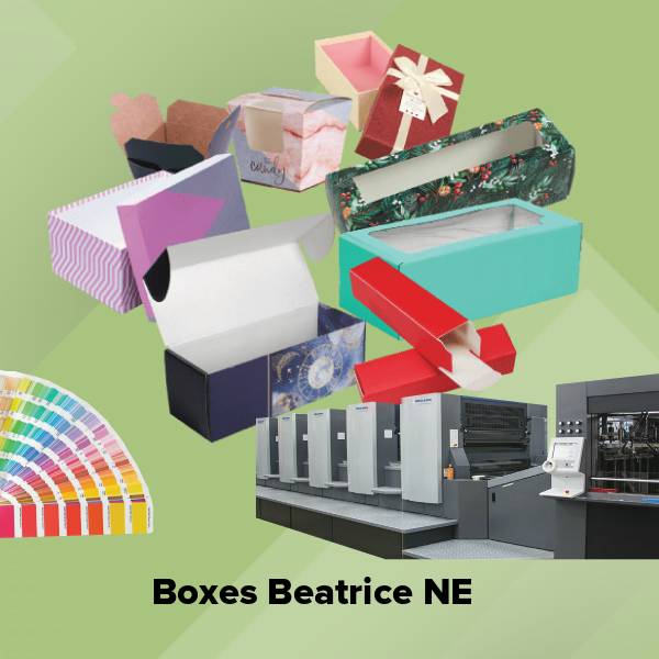 Boxes beatrice ne