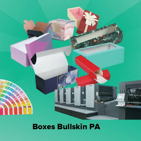 Boxes bullskin pa