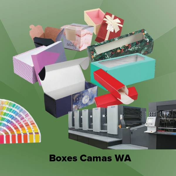 Boxes camas wa