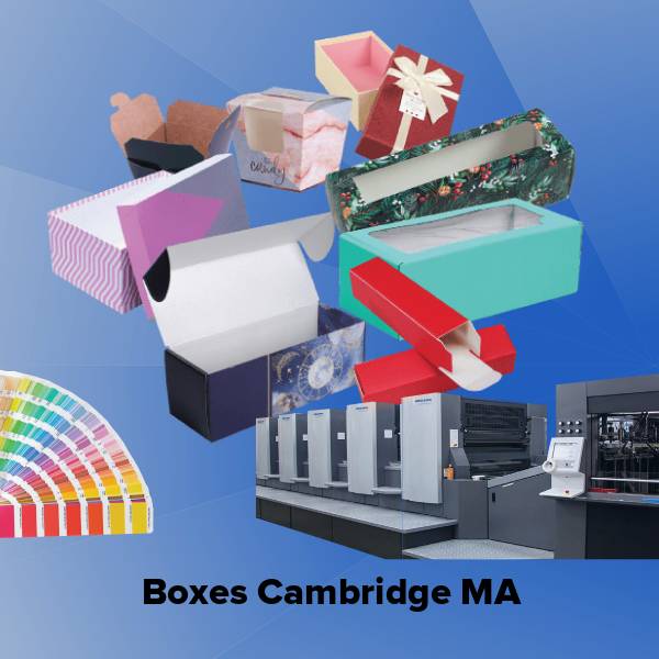 Boxes cambridge ma