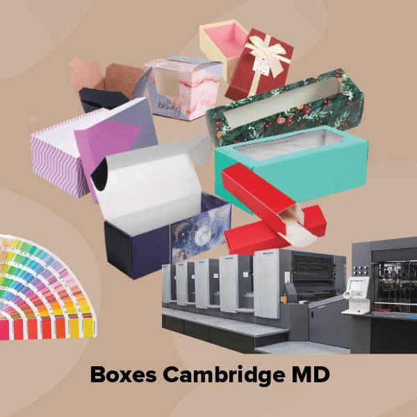 Boxes cambridge md