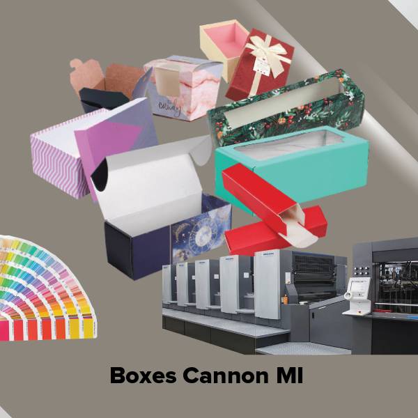 Boxes cannon mi
