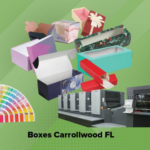 Boxes carrollwood fl