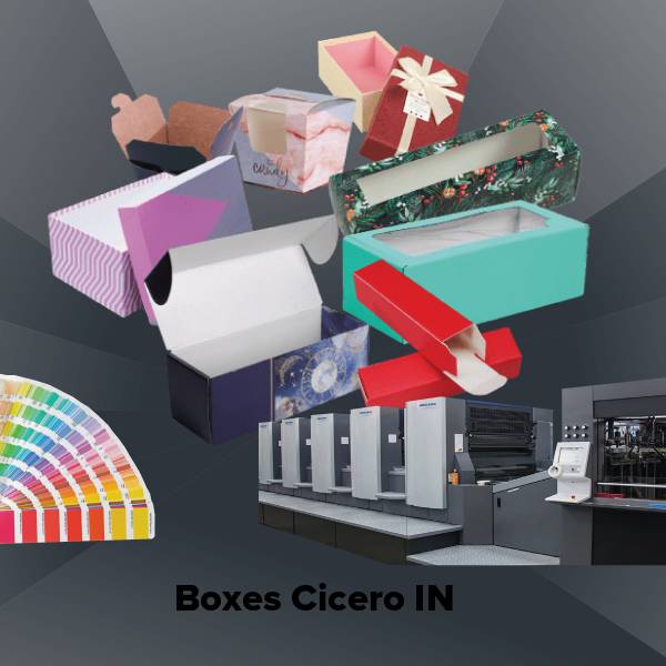 Boxes cicero in
