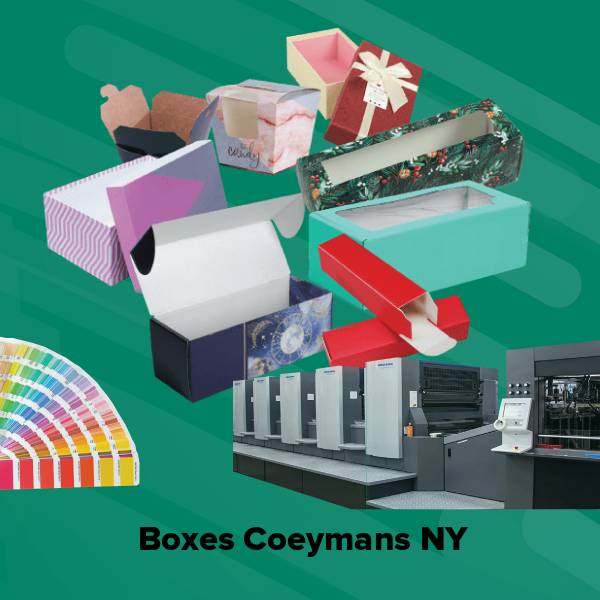 Boxes coeymans ny