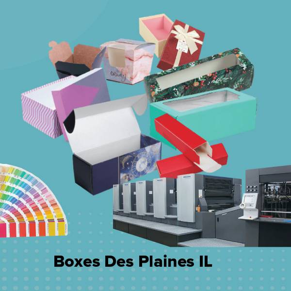 Boxes des plaines il