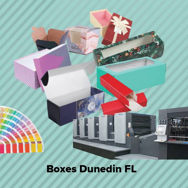 Boxes dunedin fl