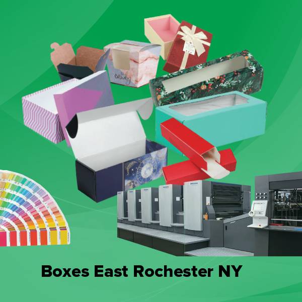 Boxes east rochester ny
