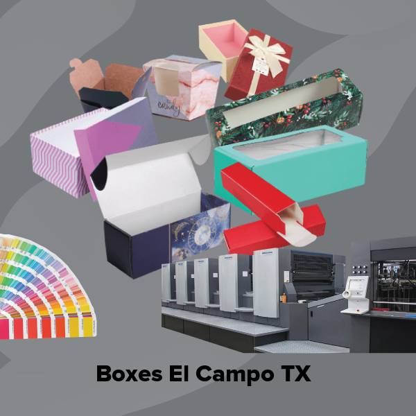 Boxes el campo tx