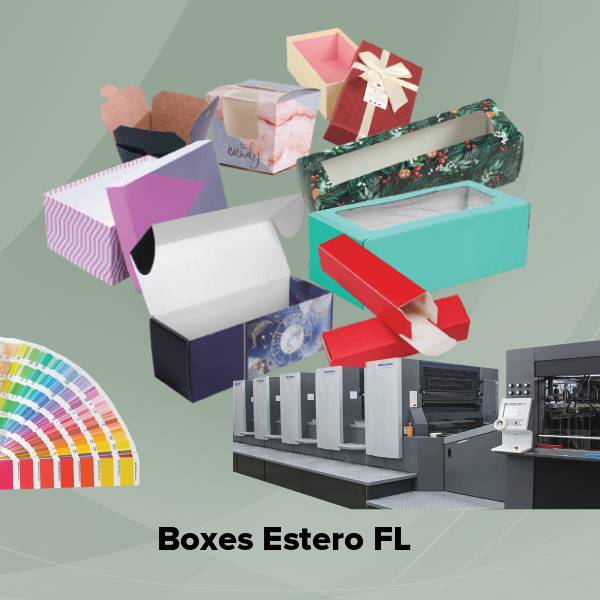 Boxes estero fl