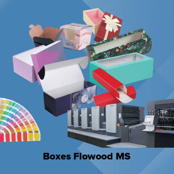 Boxes flowood ms