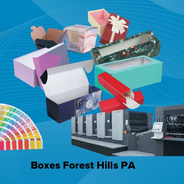 Boxes forest hills pa