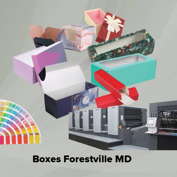 Boxes forestville md