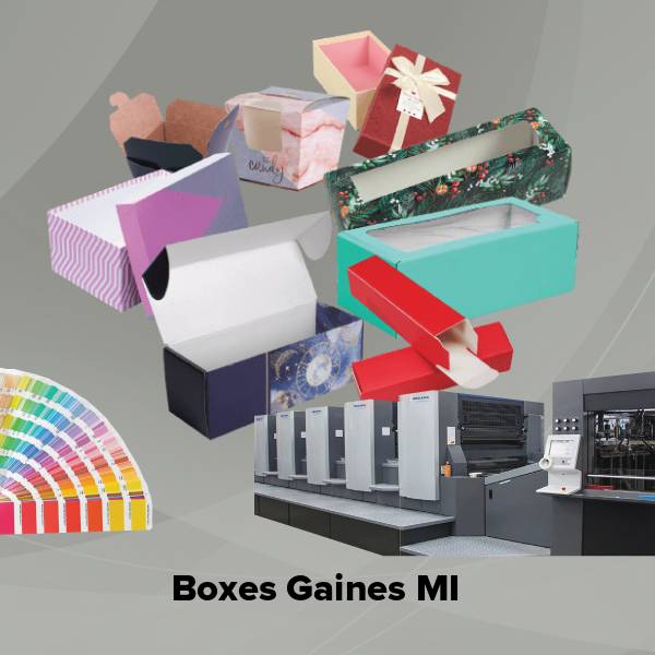 Boxes gaines mi