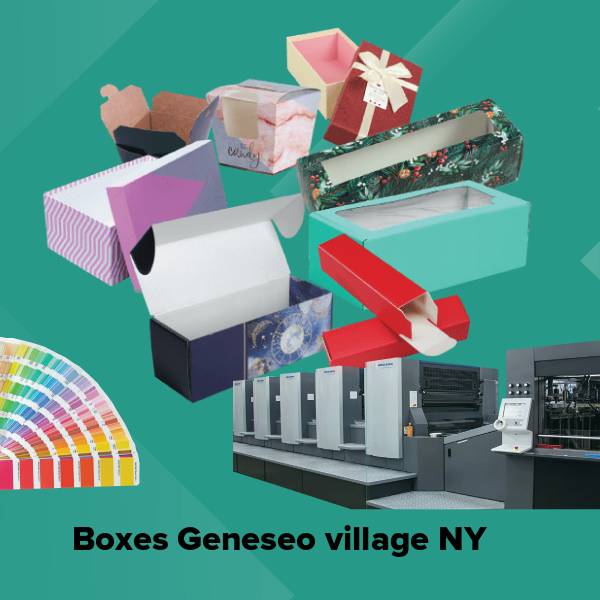 Boxes geneseo village ny