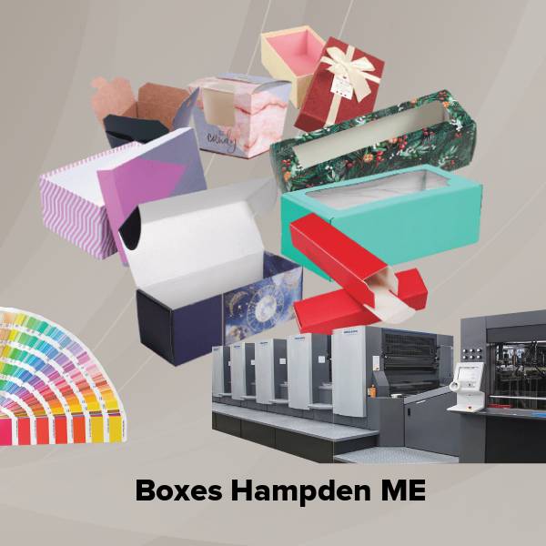 Boxes hampden me