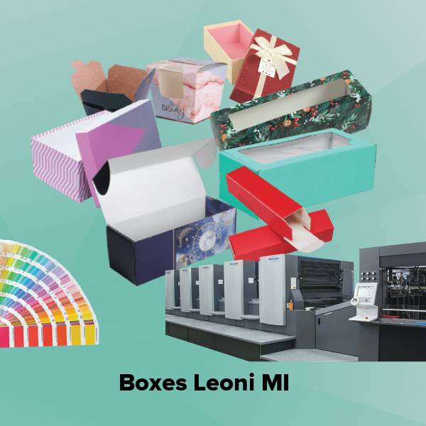 Boxes leoni mi