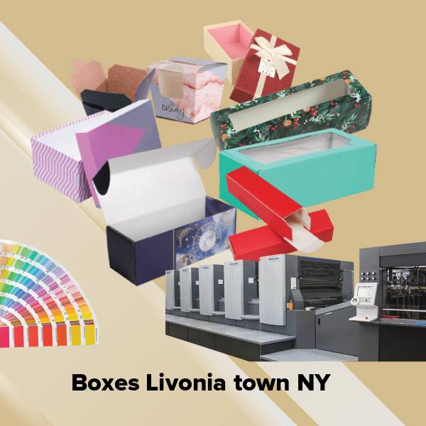 Boxes livonia town ny
