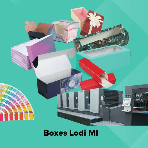 Boxes lodi mi