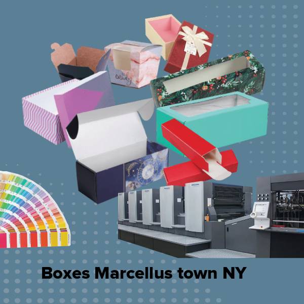 Boxes marcellus town ny