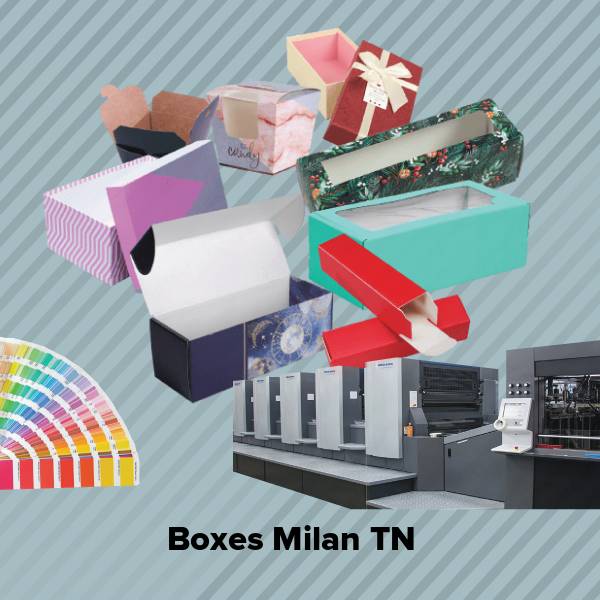 Boxes milan tn