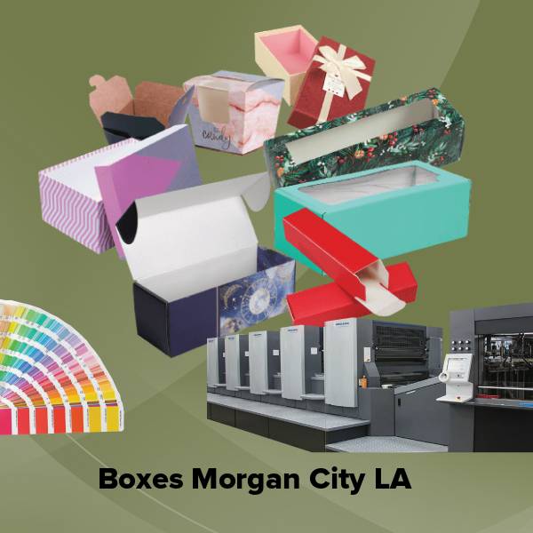 Boxes morgan city la