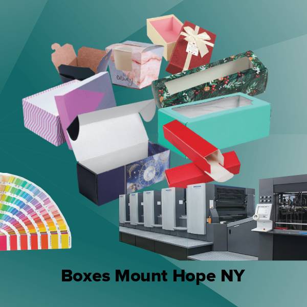 Boxes mount hope ny