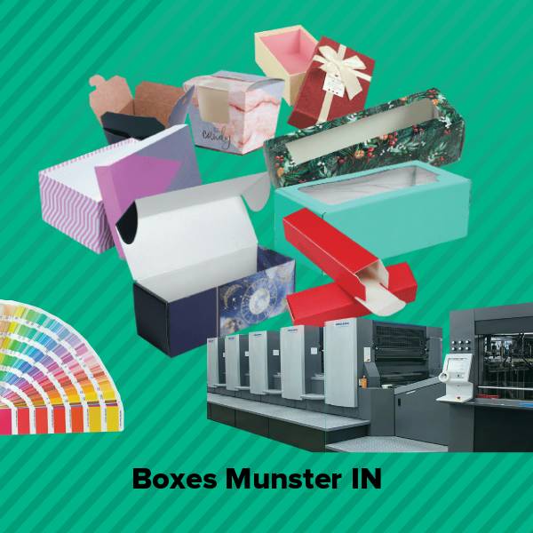 Boxes munster in