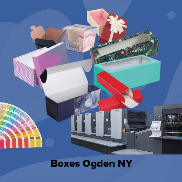 Boxes ogden ny