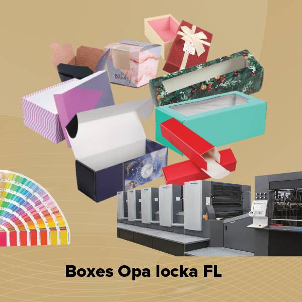 Boxes opa locka fl
