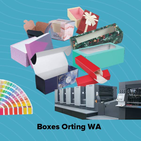 Boxes orting wa