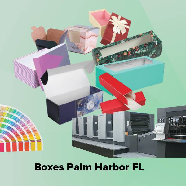 Boxes palm harbor fl
