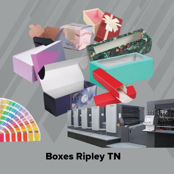 Boxes ripley tn