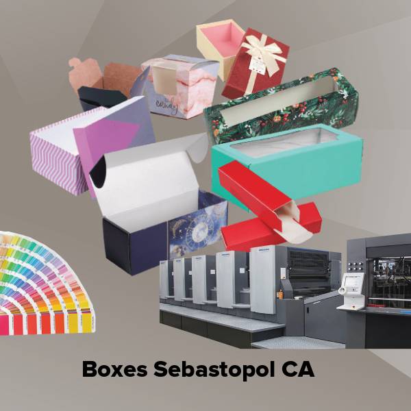 Boxes sebastopol ca