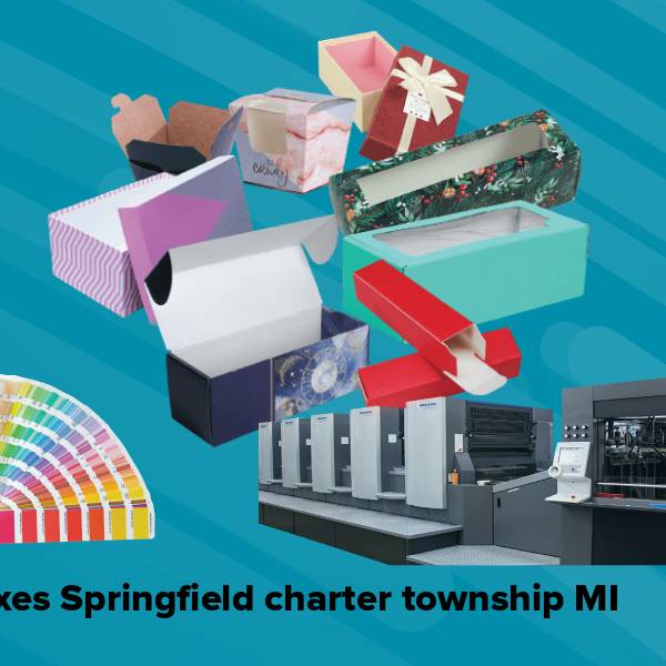 Boxes springfield charter township mi