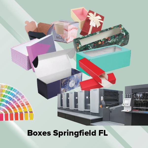 Boxes springfield fl