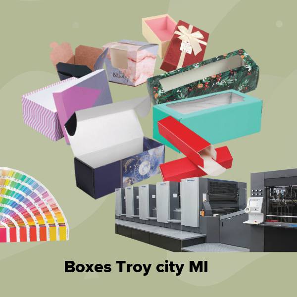 Boxes troy city mi