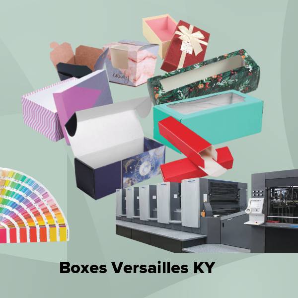 Boxes versailles ky