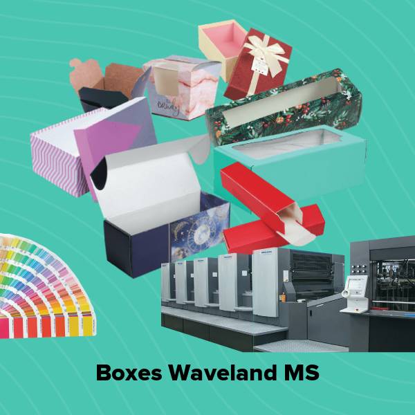 Boxes waveland ms