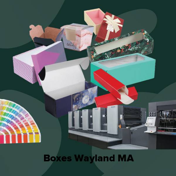 Boxes wayland ma