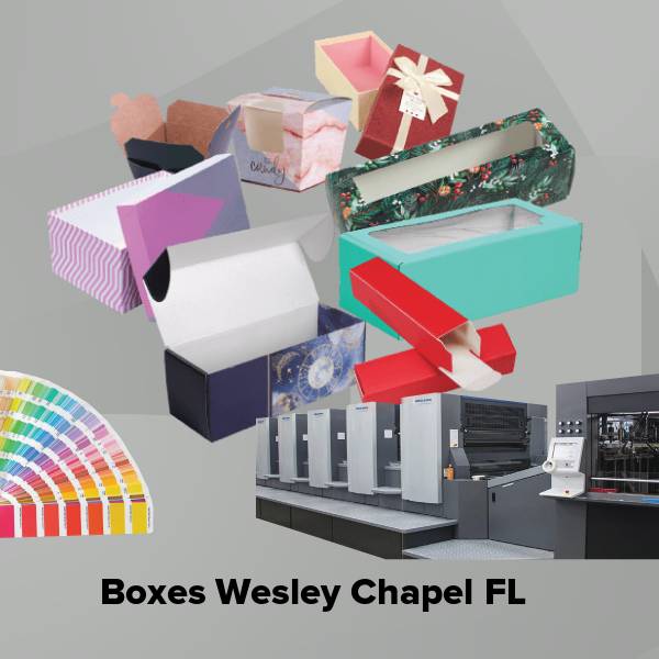 Boxes wesley chapel fl