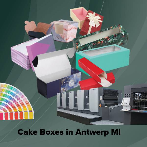 Cake boxes in antwerp mi