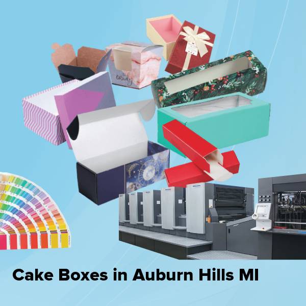 Cake boxes in auburn hills mi