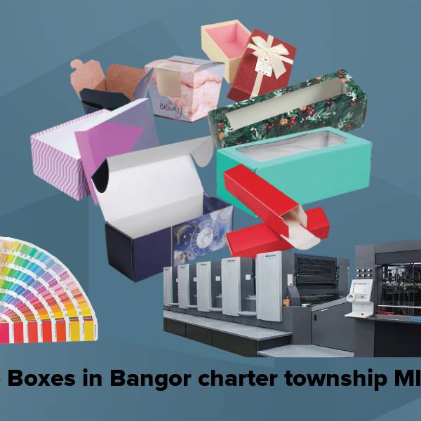 Cake boxes in bangor charter township mi