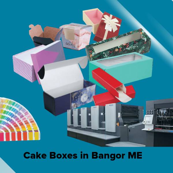 Cake boxes in bangor me