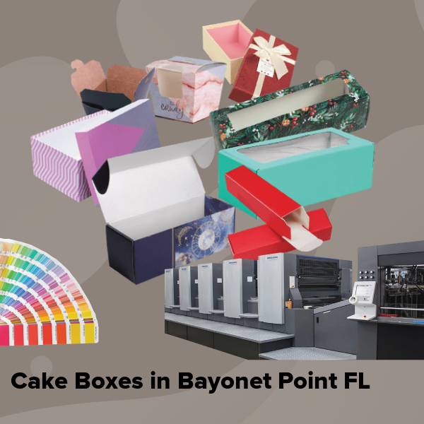 Cake boxes in bayonet point fl